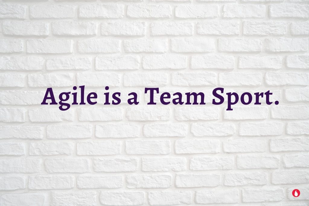 Agile OWL quotes