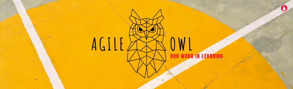 Agile OWL