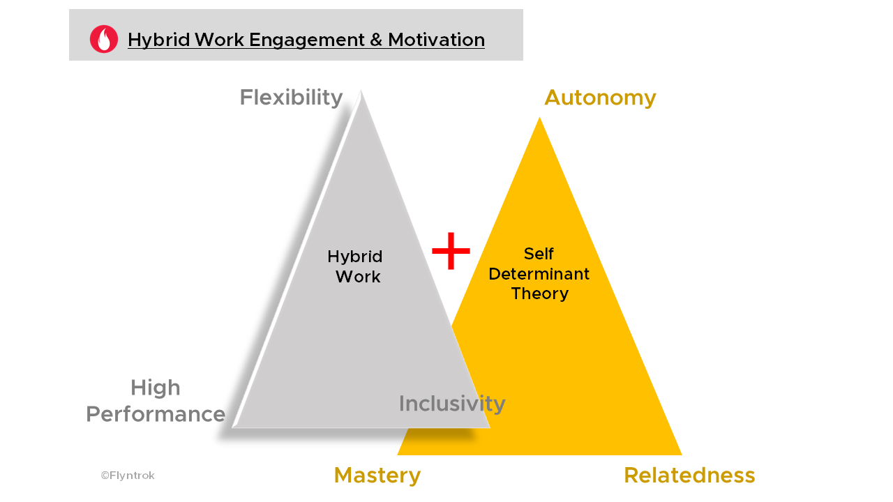 Hybrid Work Choices - Flyntrok