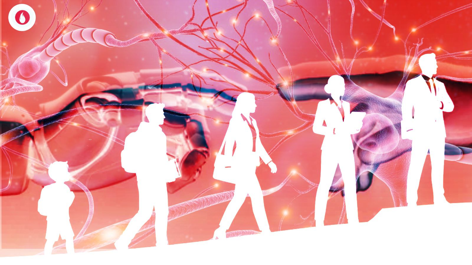 Organisational Singularity: Explained Five Ways