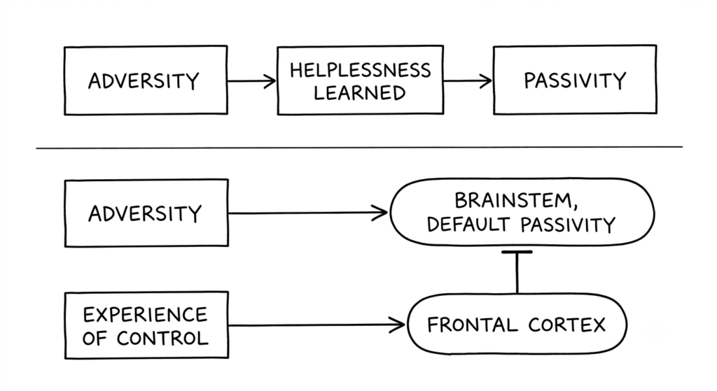Diagram comparing the original learned helplessness explanation with the 2016 neuroscience reversal.